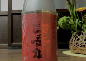 alt 1