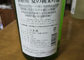 alt 1