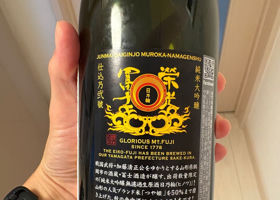 栄光冨士 チェックイン 2