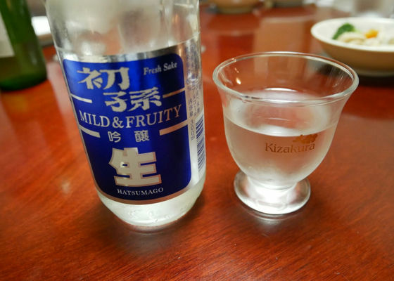 alt 1