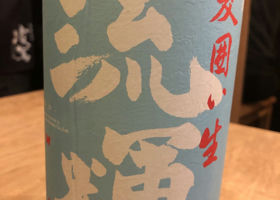 alt 1