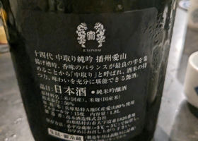 alt 3