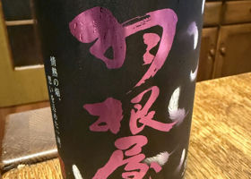 alt 1