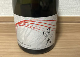 alt 1