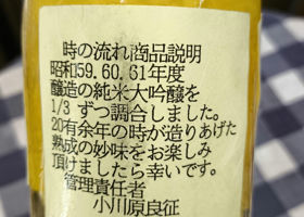 alt 1