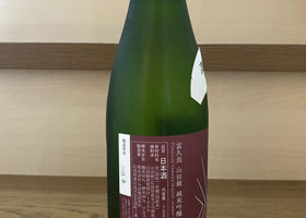 alt 2