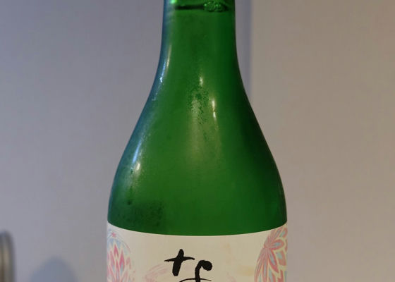 alt 1