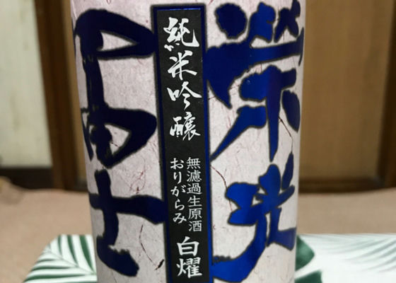 alt 1
