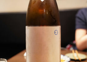 alt 1