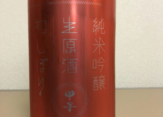 alt 1