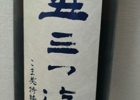 alt 1