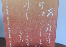 alt 3
