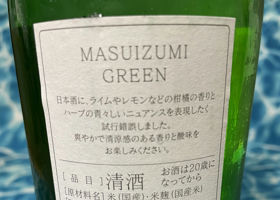 MASUIZUMI GREEN Check-in 2