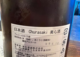 alt 3