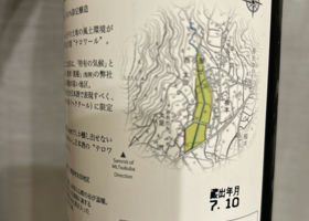 alt 3