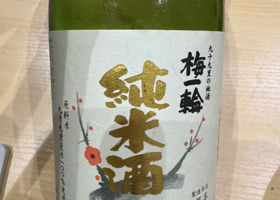 alt 1