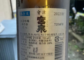 alt 3
