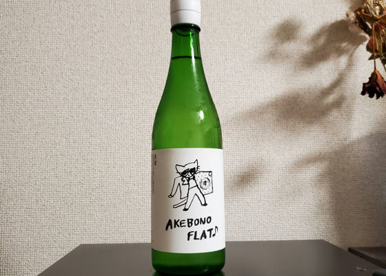 alt 1