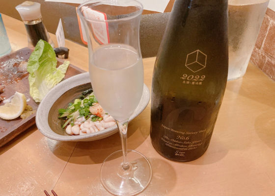 新政