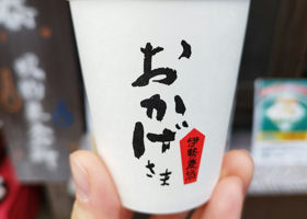 alt 2