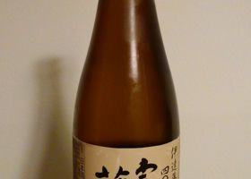 alt 1