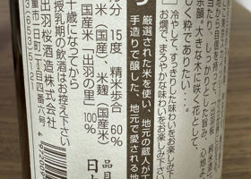 alt 3