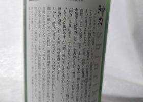 alt 3