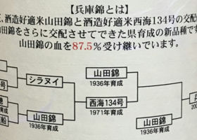 奥播磨 チェックイン 2