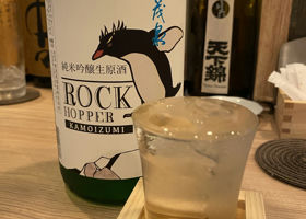 alt 1
