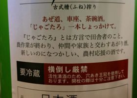alt 3