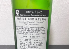 玉川 チェックイン 2