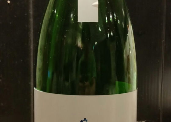 alt 1