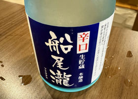 alt 1