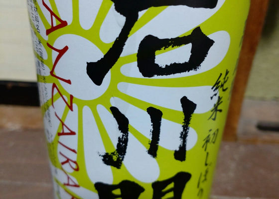 alt 1