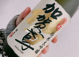 alt 2