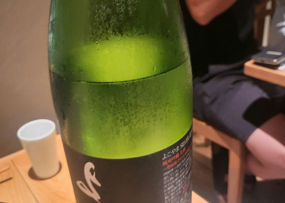 alt 1