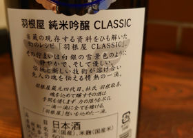 alt 3