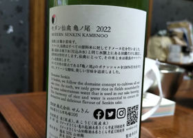 alt 2