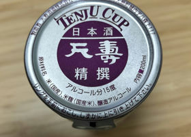 Tenju Check-in 2