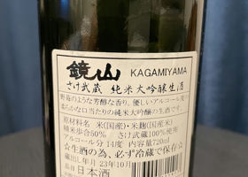 Kagamiyama Check-in 2