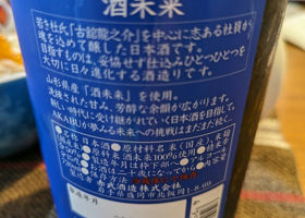 alt 2