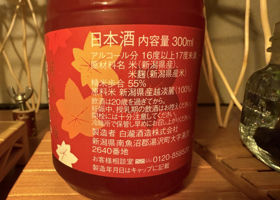 alt 3