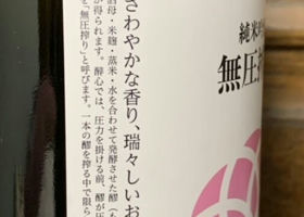 alt 3