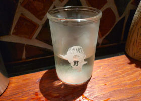 alt 1