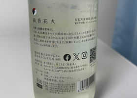 alt 2