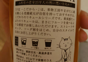 alt 3