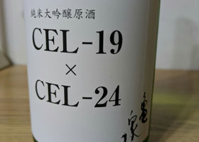 alt 1