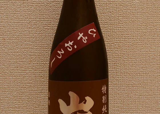 alt 1