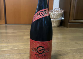 alt 1
