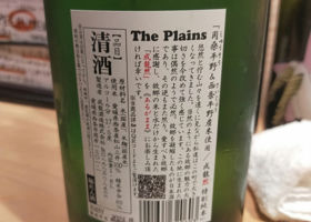 alt 3